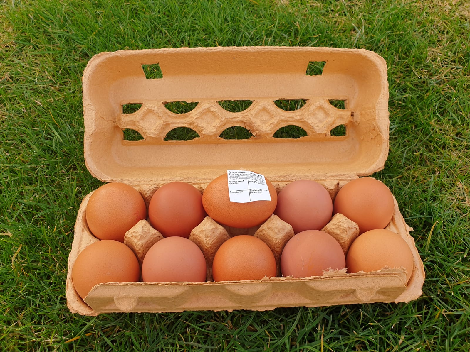 Eieretiketten für Eier und Eierverpackungen